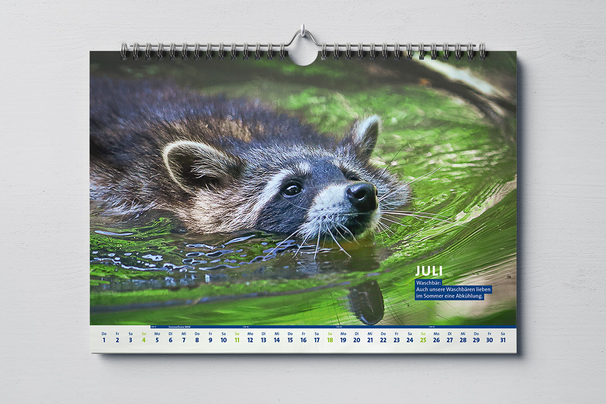 Projektbild Kalender Juli