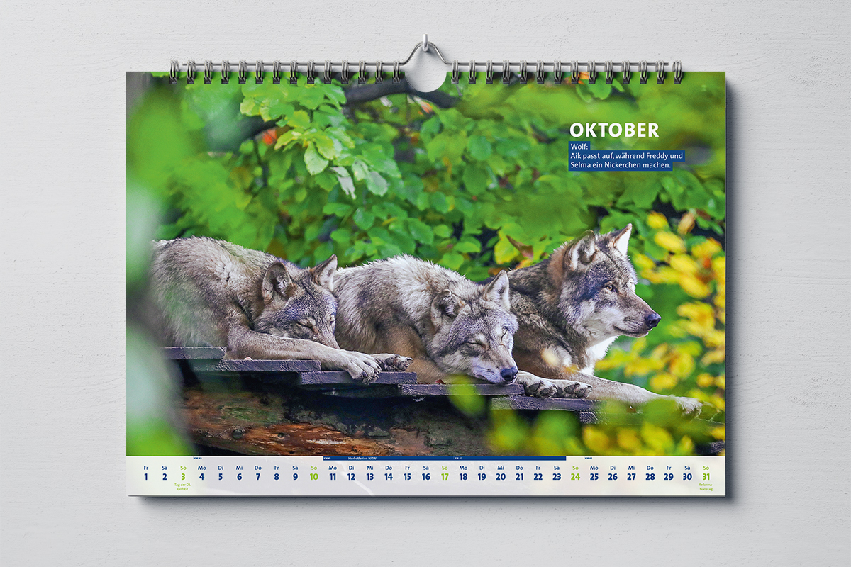 Projektbild Kalender Oktober
