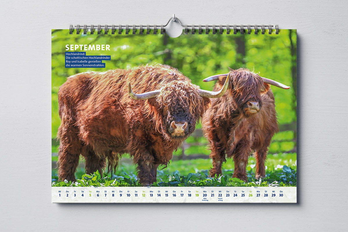 Projektbild Kalender September