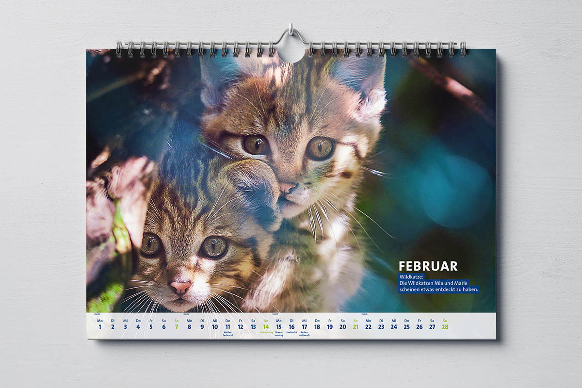 Projektbild Kalender Februar